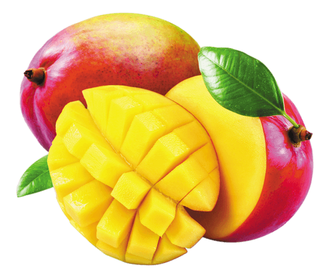 Sorbet Plein Fruit Mangue - barquette de 500ml de 300g